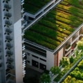 Everything You Need to Know About Green Roofs
